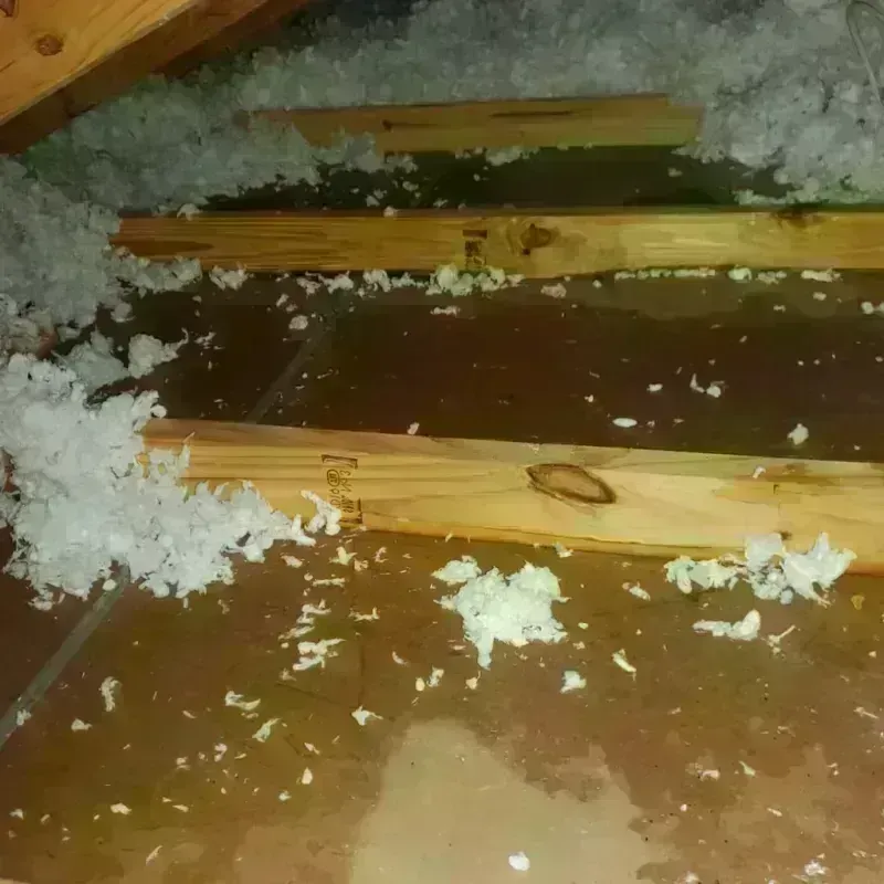 Attic Water Damage in Parcelas La Milagrosa, PR