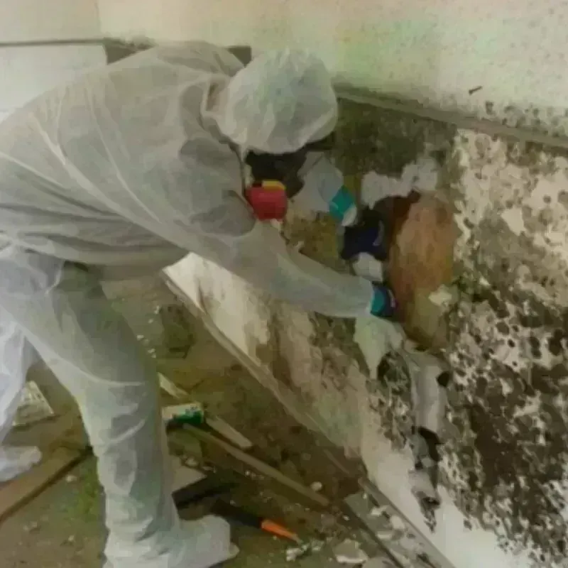 Mold Remediation and Removal in Parcelas La Milagrosa, PR